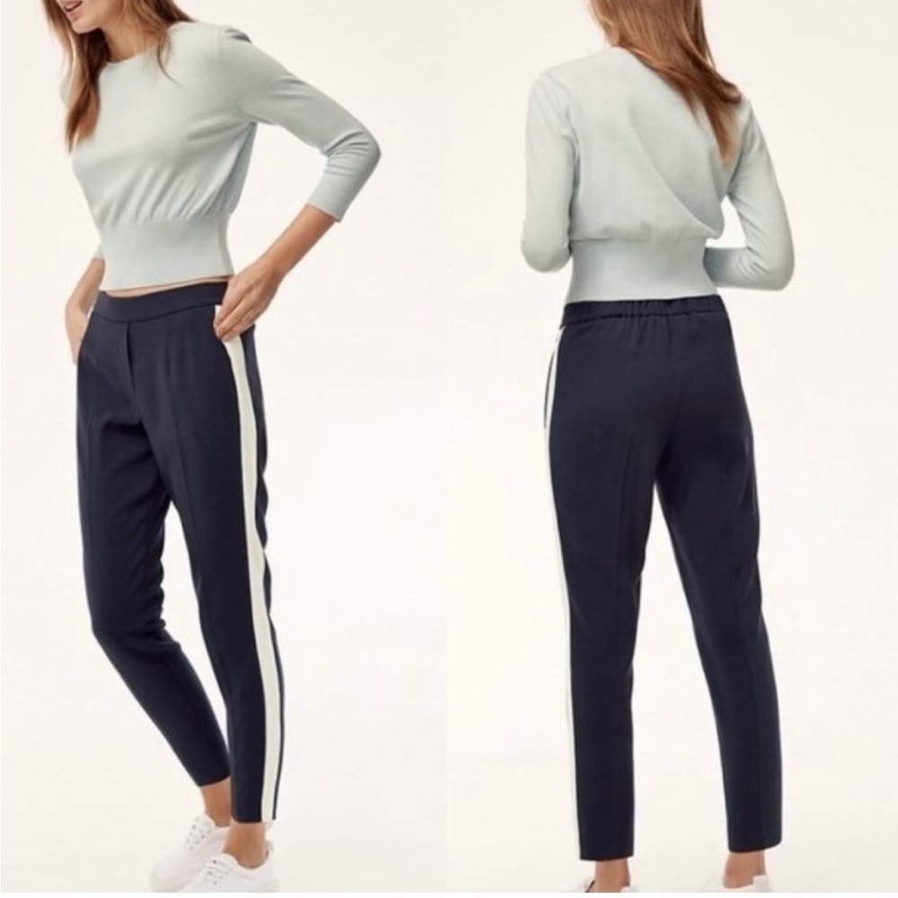 Aritzia Babaton Conan Pant